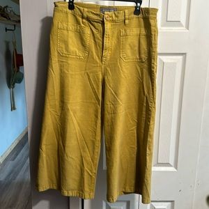 Jcrew point sur chino